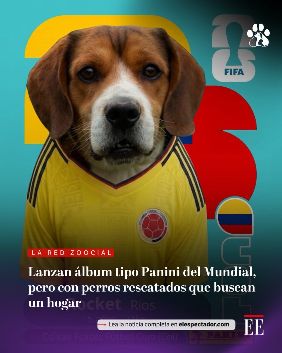 El Espectador tweet media