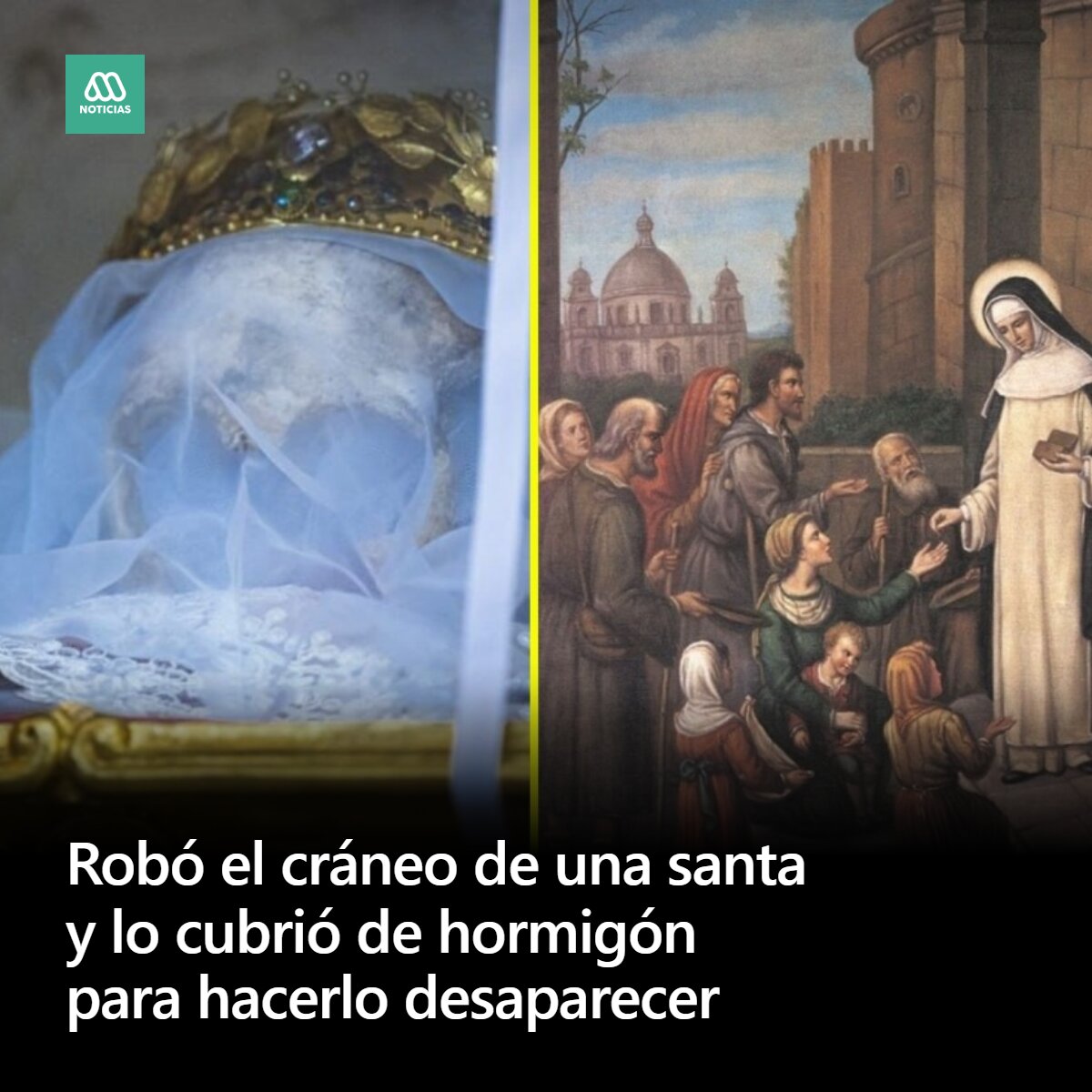 Meganoticias tweet media