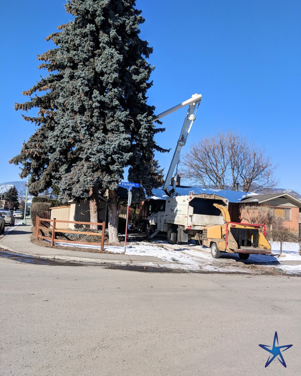 silverstartree's tweet photo. 🌲 Large Tree? Tight Space? We’ve Got It Covered.
Using professional aerial equipment, our crew safely handles tall tree work while protecting nearby homes and property.

👉 https://t.co/wexIcoHXc8

#TreeRemoval #BucketTruckWork #ArboristExperts #SilverStarTree #SafeTreeCare https://t.co/kFuTtYfMsy