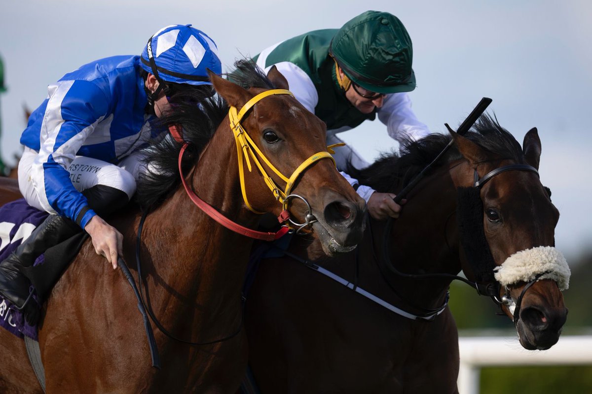 Leopardstown RC tweet media