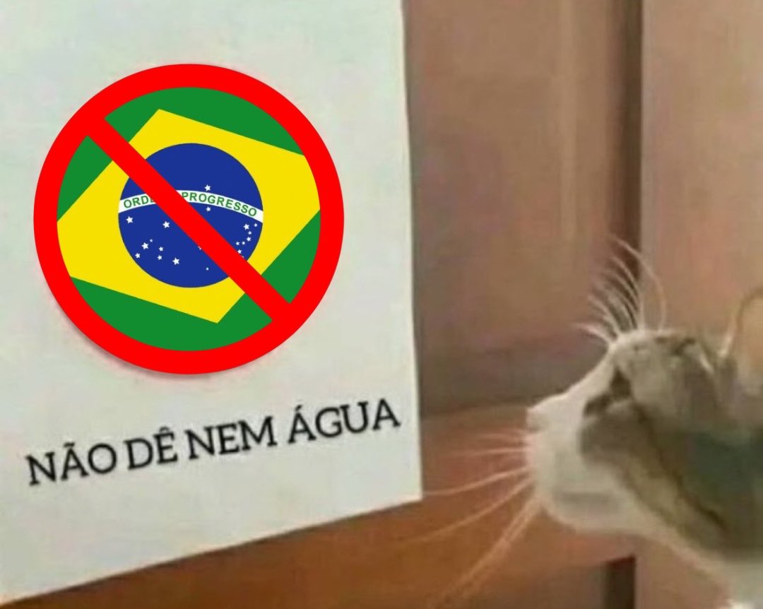 júlia໑̣ tweet media