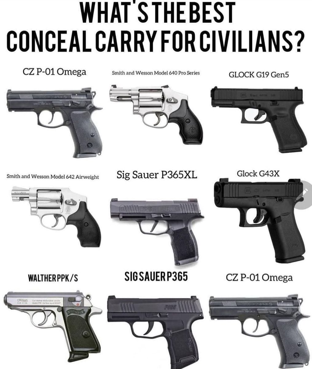 Gun Fanatics tweet media