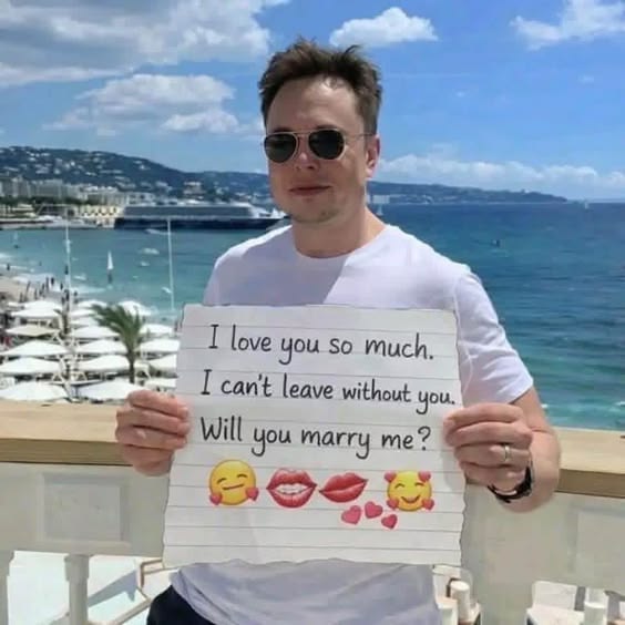 ElonScenario✨ tweet media