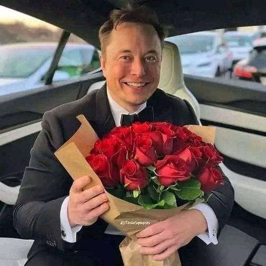 ElonScenario✨ tweet media