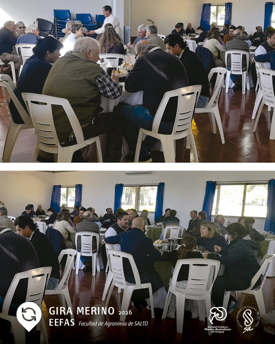 MerinoUY's tweet photo. Comenzamos la última visita de la GIRA con una tarde soleada.
Nos recibe EEFAS | Facultad de Agronomía de Salto.

Conoceremos una de las majadas que ha realizado mayor selección hacia la resistencia genética a parásitos gastrointestinales. https://t.co/KSsXrL4wMo