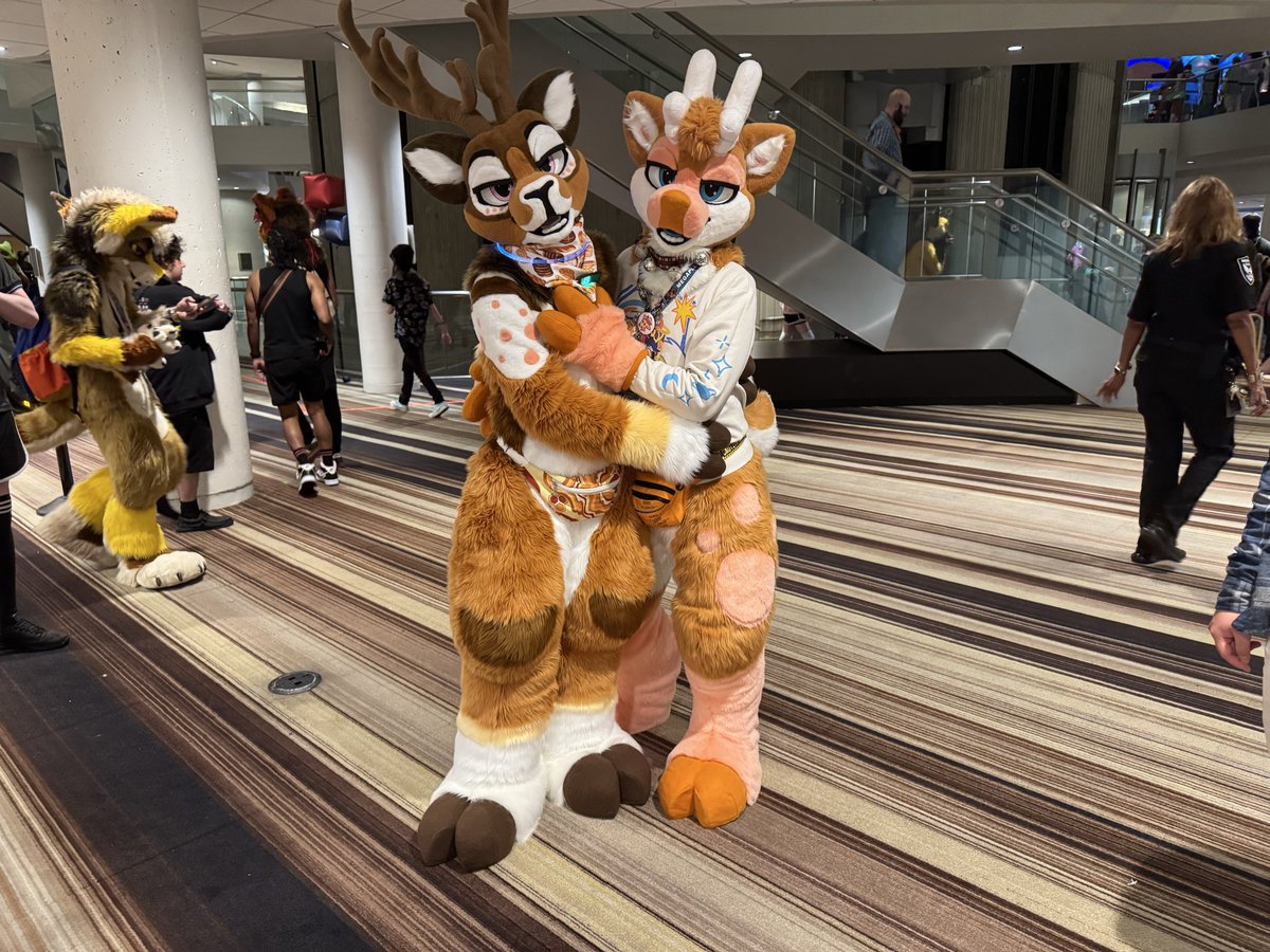 Recoil_Coyote tweet media