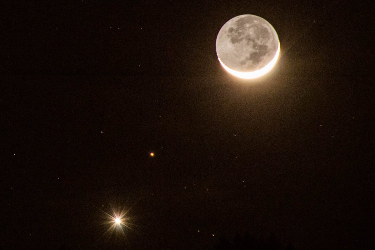 La Luna tweet media