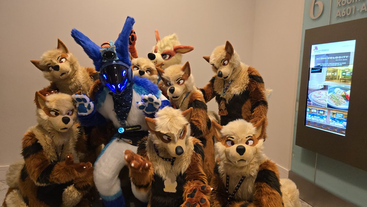 DatBlueHusky🔜AC, ASC (maybe) tweet media