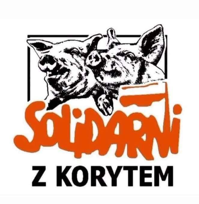 PitDann tweet media