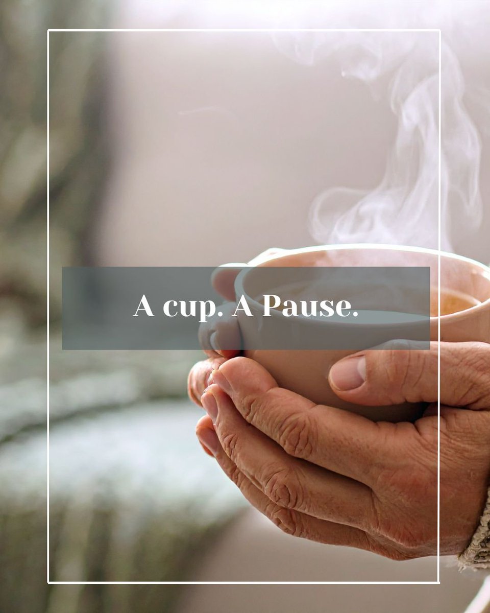 Tea & Herb Assoc Canada tweet media