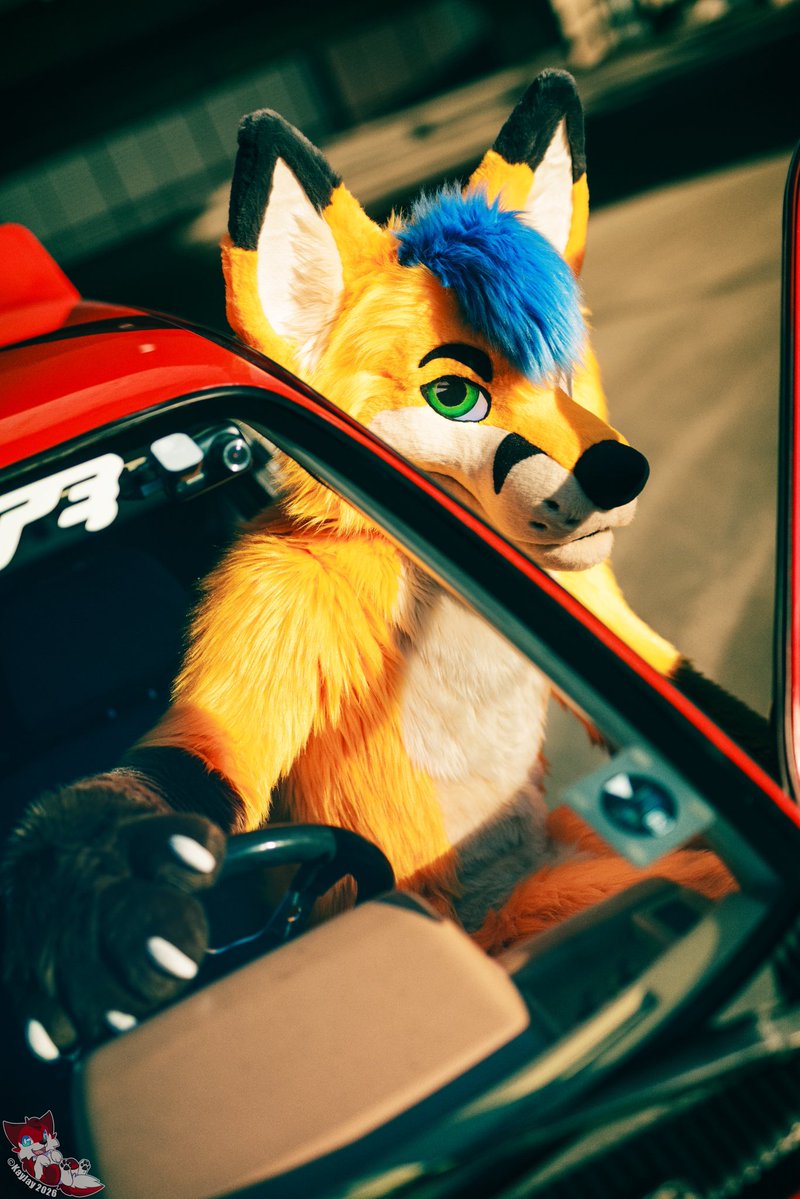 Electrix Fox tweet media