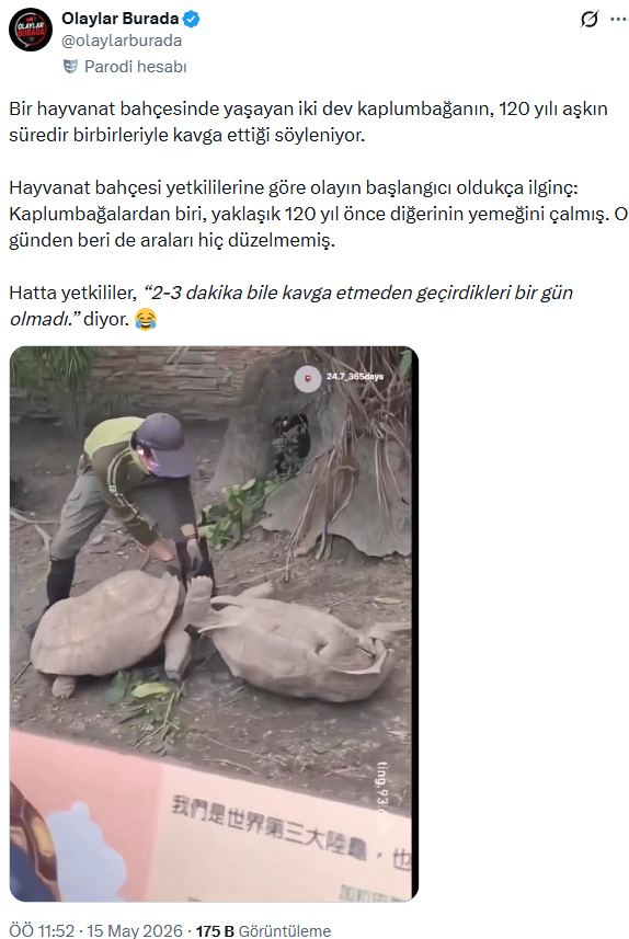 Malumatfuruş tweet media