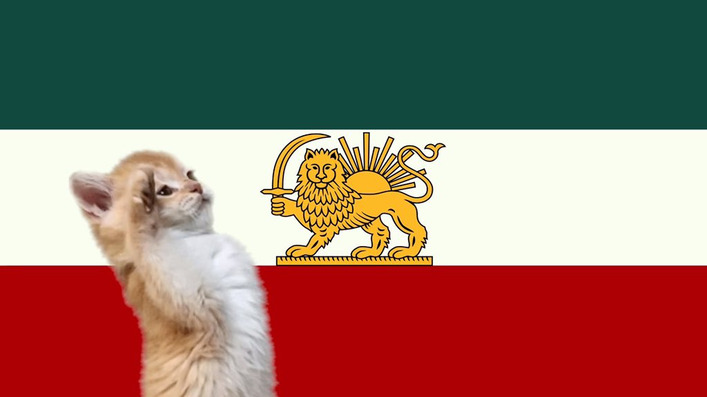 ژی 🇮🇷🏳️‍🌈 tweet media