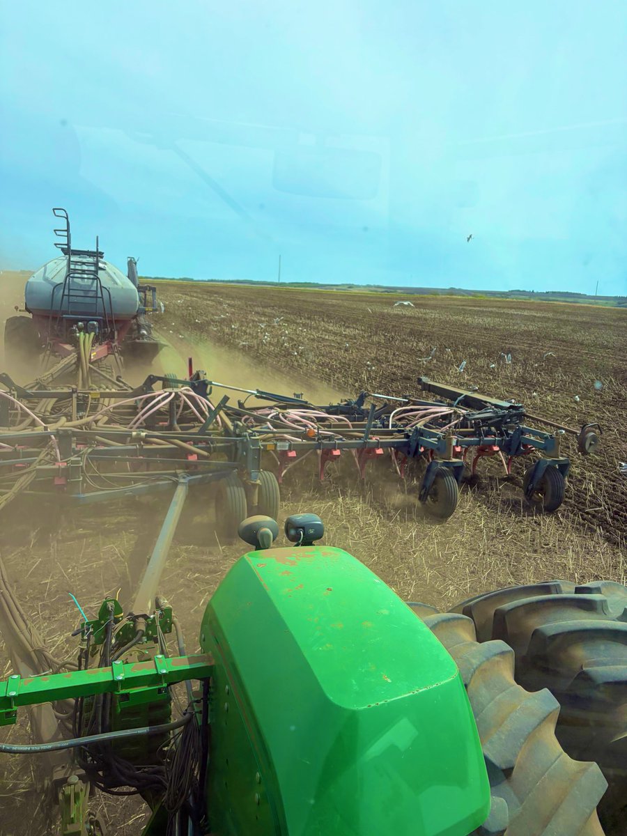 FBNFarmersCAN's tweet photo. Pro tip from one of our CB’s in Sexsmith, Alberta — big flocks of birds following the air drill today again! 🐦🌾
They’re busy eating cutworms, wireworms & other insects… so not all bad. The downside? Your equipment gets absolutely covered.
#localrep #AlbertaAg #PeaceCountry https://t.co/brgySepAVN