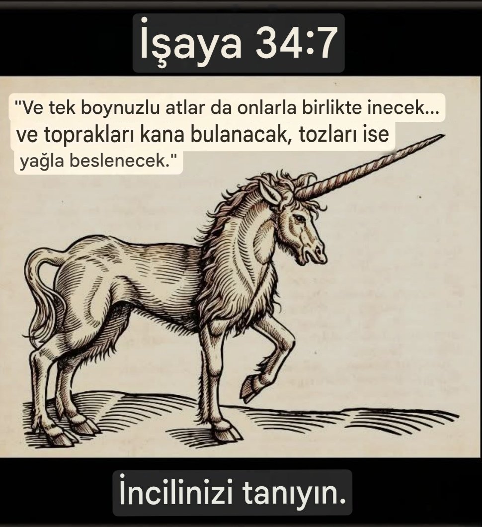 Erman Armağan tweet media