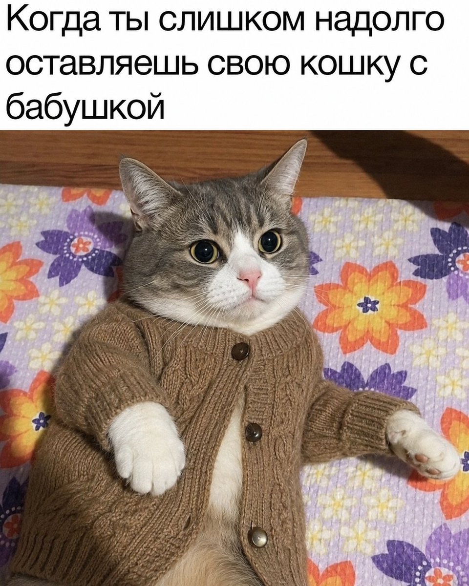 Cotizm tweet media