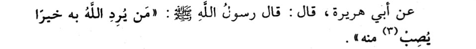 Hadis Rahlesi tweet media