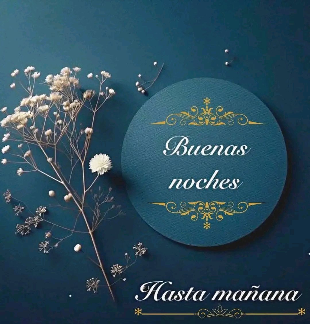 Alba_lor's tweet photo. @versalles089 Buenas noches Versalles, dulces sueños amiga!!! 😘😘😘😘😘😘💜💜💜💜💜💜
#APOYOROCIO15M https://t.co/yPdke0J0M0