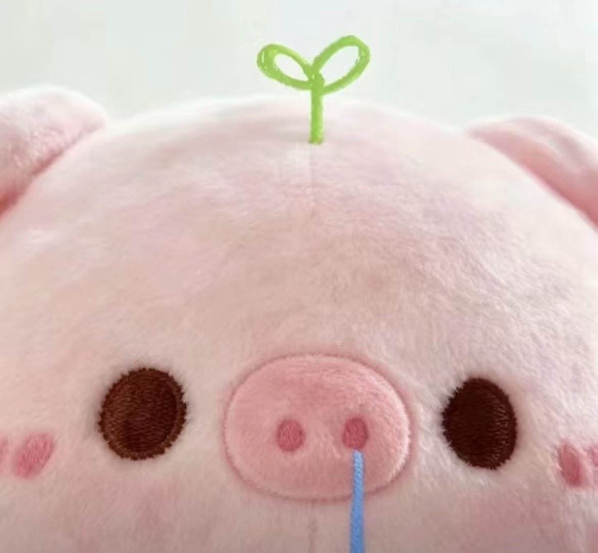 via101021's tweet photo. 🌱                       🌱                        🌱
  T🐽T             ●🐽●                 >ω< https://t.co/kWF92ra5Dj