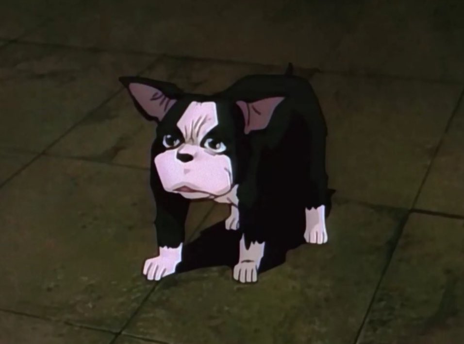 iggy of shtwt ദ്ദി ˉ͈̀꒳ˉ͈́ )✧ tweet media
