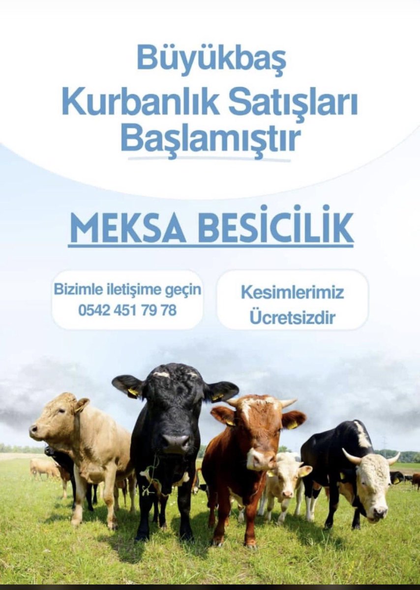 Muhammed Yusuf AKBAŞ tweet media