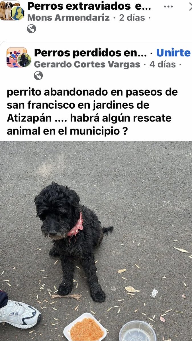 Dra Alejandra tweet media