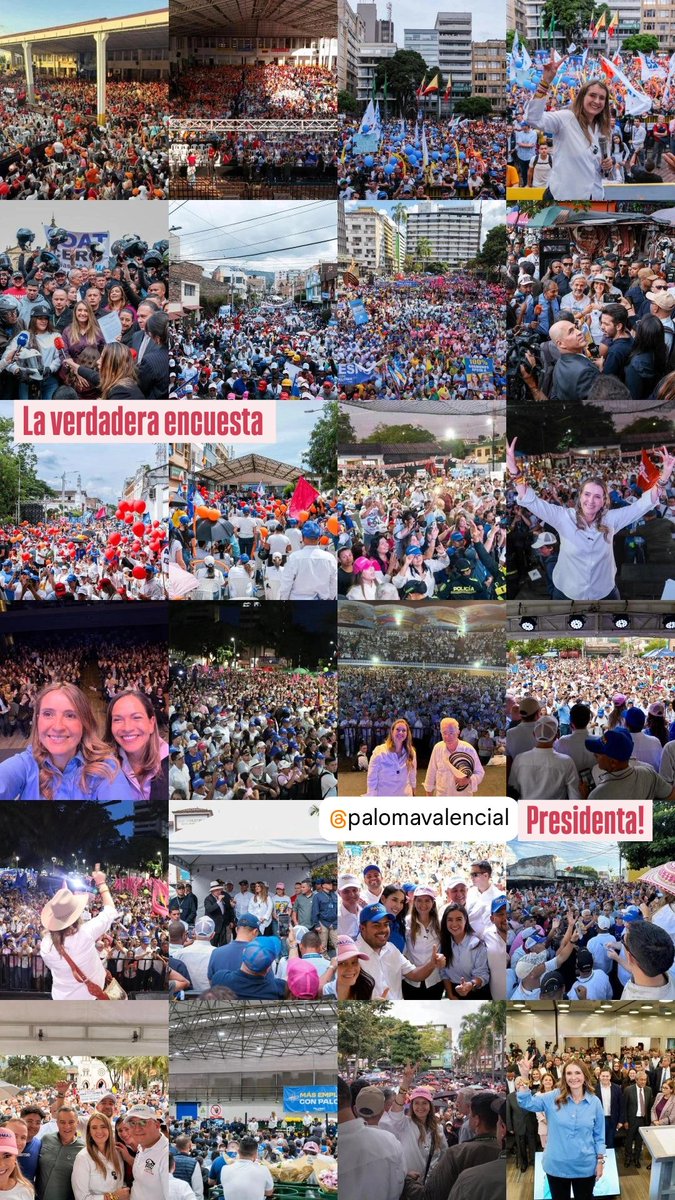 Luz Pastrana L. 🇨🇴 tweet media