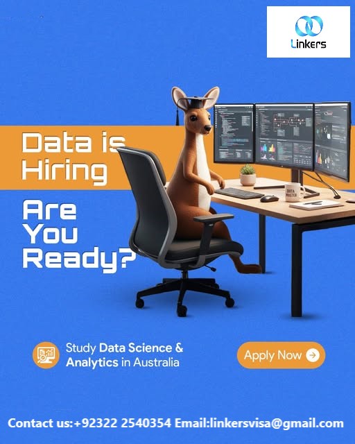 Linkers Visa tweet media