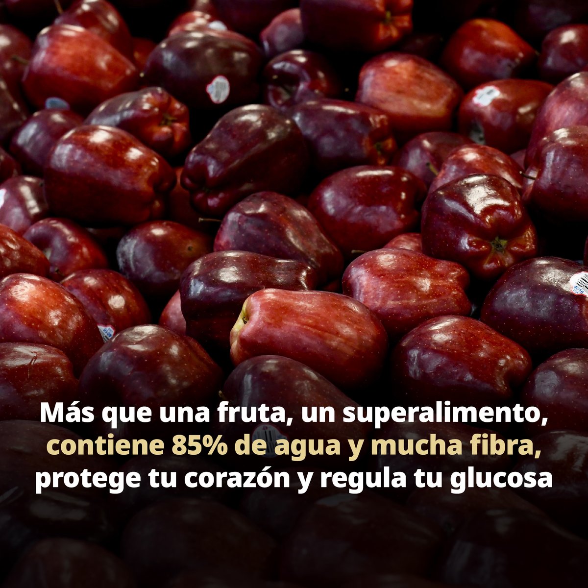Profeco tweet media