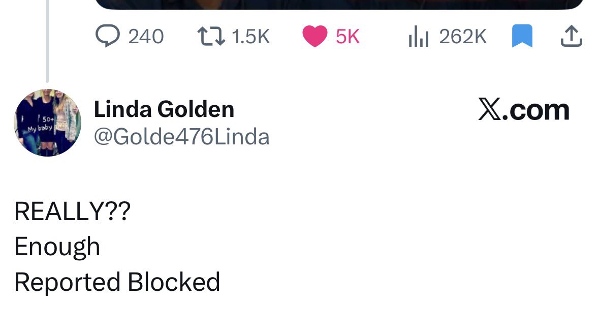 DINO 🦖 tweet media