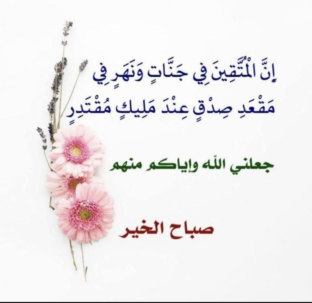 طالبة الغفران tweet media