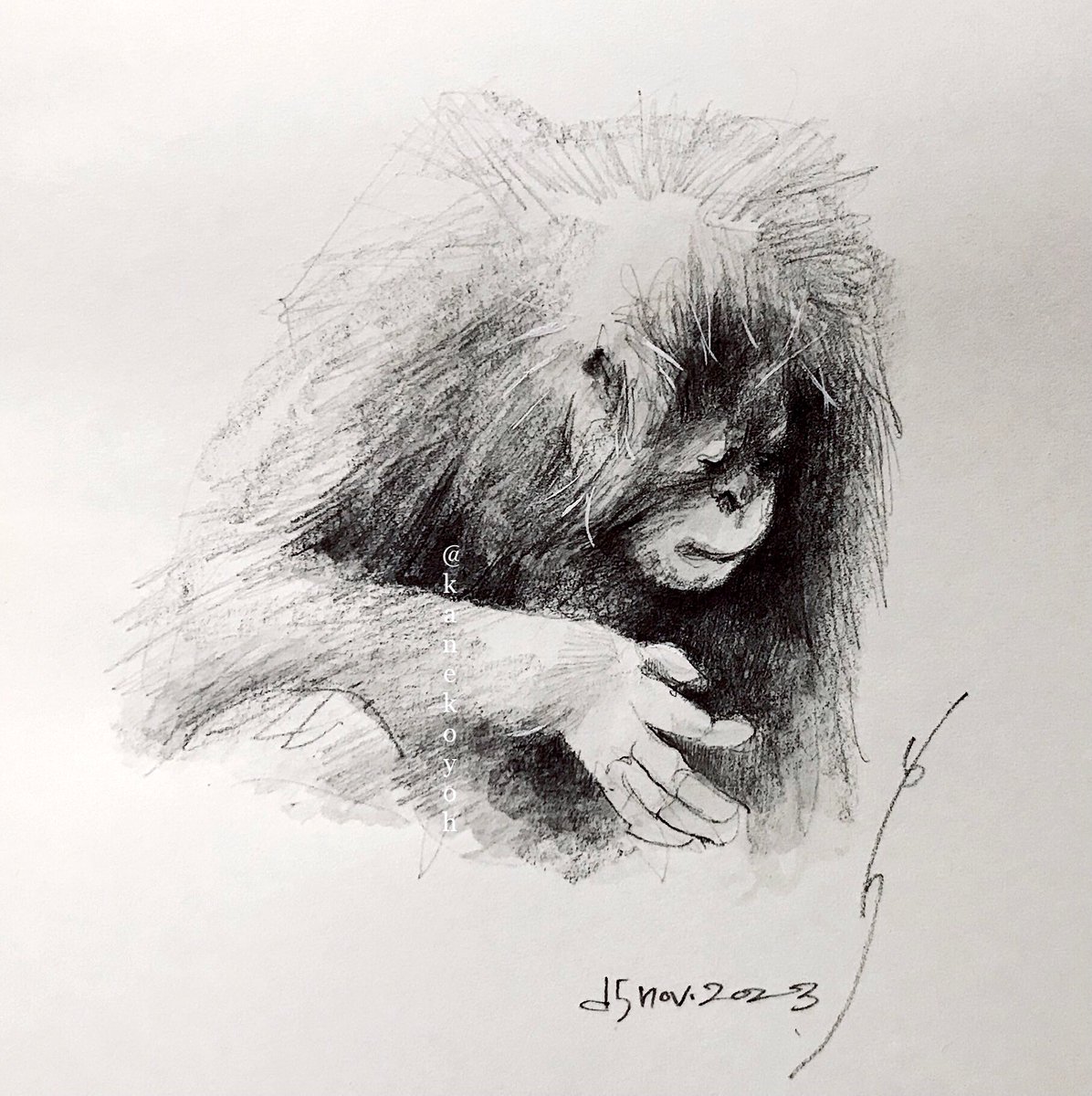 お猿さん特集(過去絵再掲)
