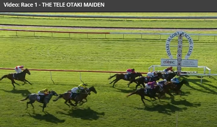 racingtipsnz's tweet photo. $16.00 WIINER TO START THE DAY

They race at ELLERSLIE and OTAKI in New Zealand today and we have all our selections online at https://t.co/0SEVD1UjU7

We have started the day well with a $16.00 winner in the first at Otaki, and here's our thoughts around race 4 at Ellerslie. https://t.co/S3kvnXkEPY