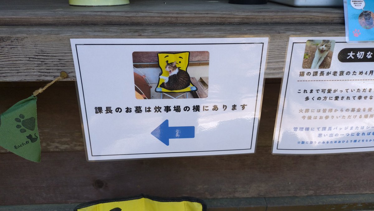 野営あき tweet media