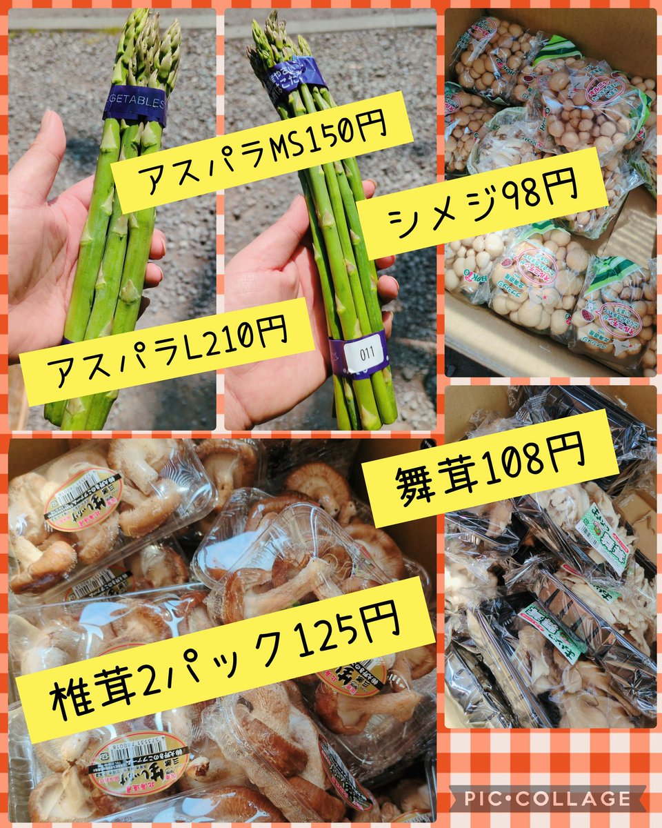 2026/05/16 おはようございます😊☀ 土曜市!!始まりました!! 天気最高