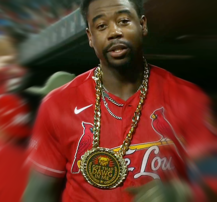 cardinalsgifs tweet media