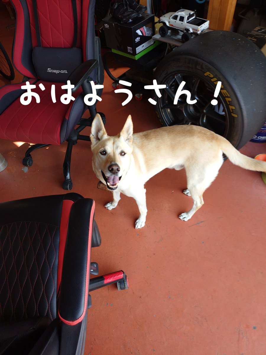 車輪商会 tweet media
