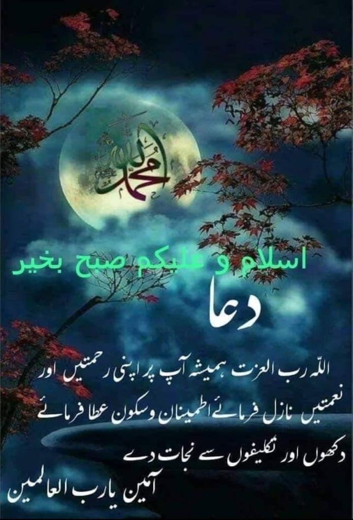 noorislam tweet media