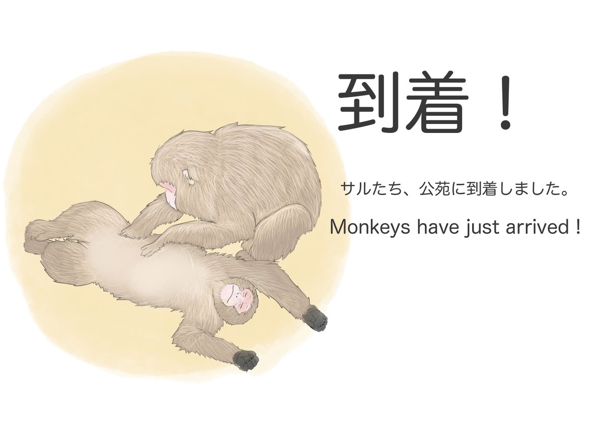 地獄谷野猿公苑【公式】 tweet media