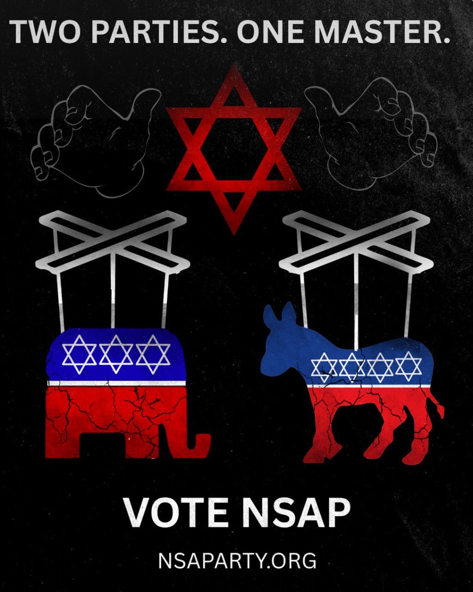 National Socialist American Party tweet media