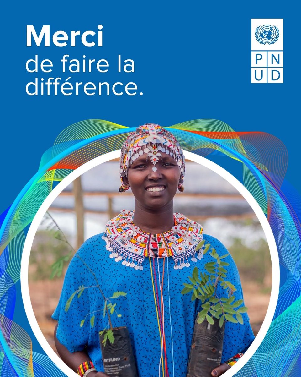 ONU Développement tweet media