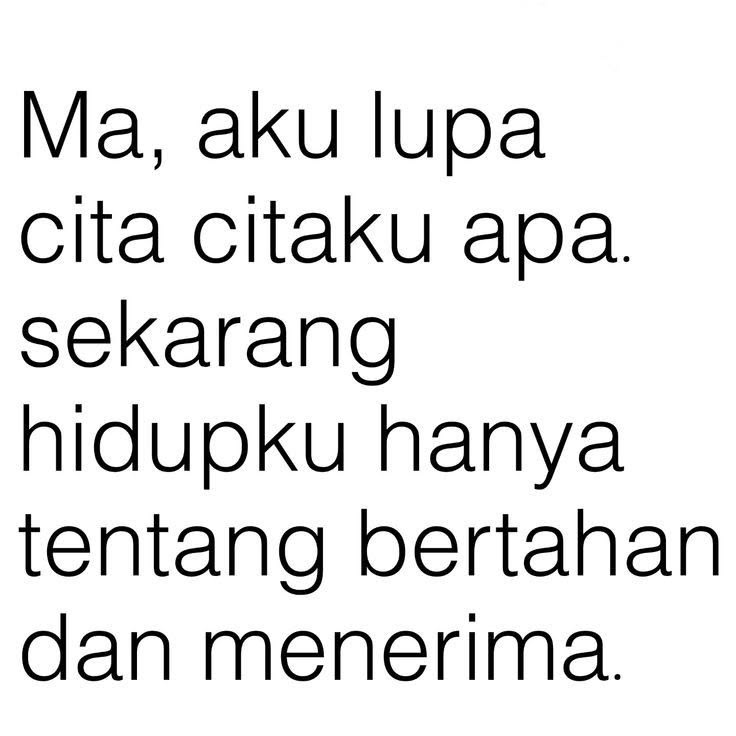 Xixi tweet media