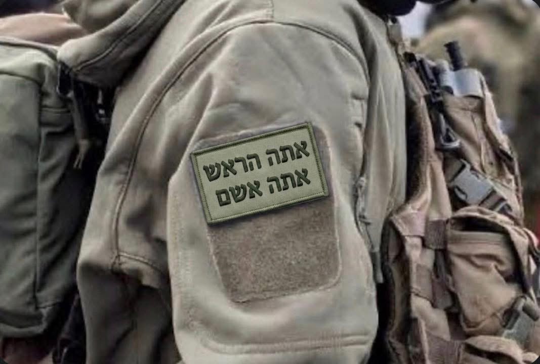 צילה טר. 🟦🇮🇱🇮🇱 tweet media