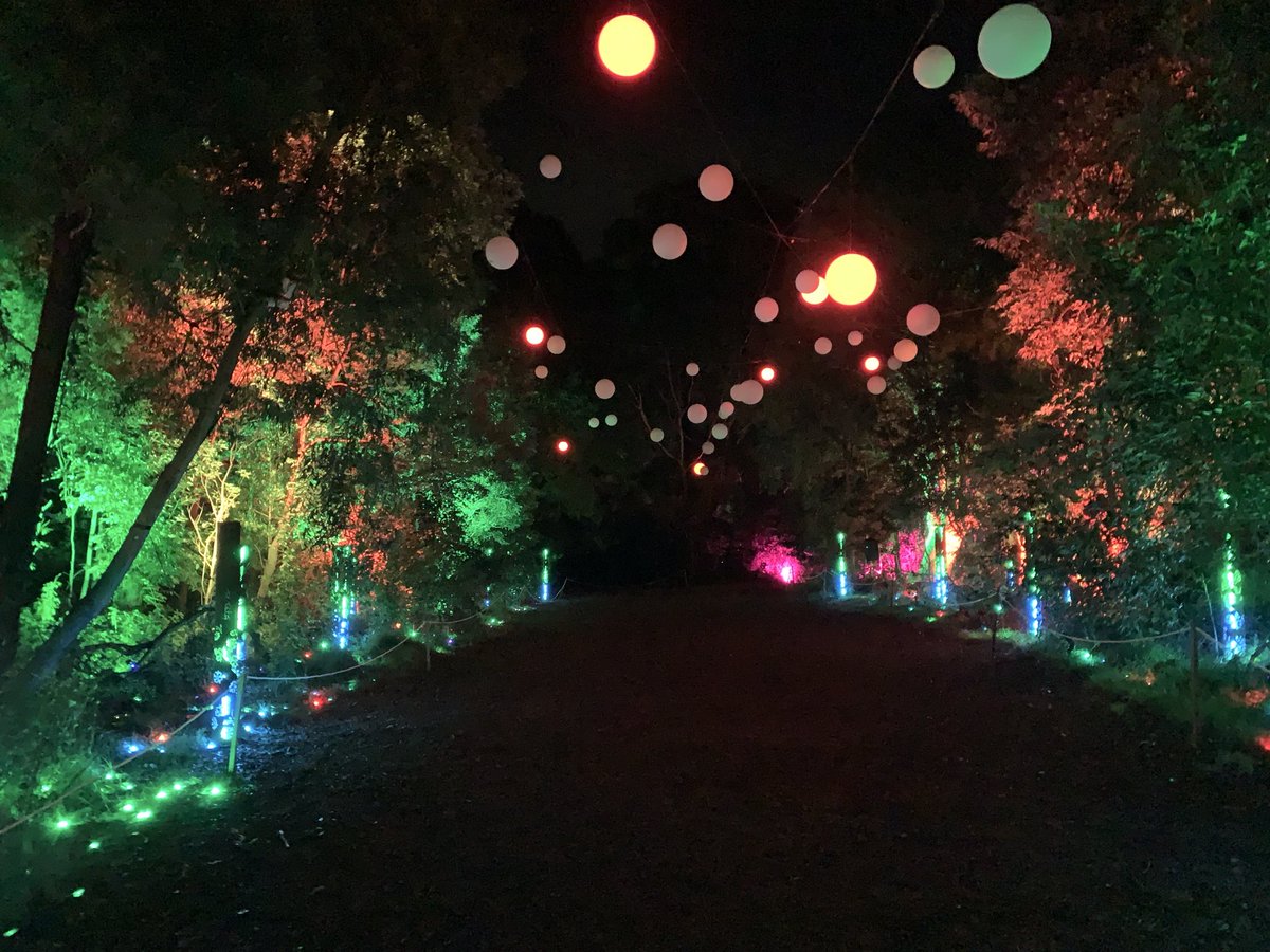 SpinxySkunk's tweet photo. Last night I kidnapped my boyfriend and took him into the middle of a pitch black forest. 

Little did he know we were going to see a light show. Where the whole forest lit up the night and dance around us. It was spectacular and the perfect date night. https://t.co/mR176ZVboL