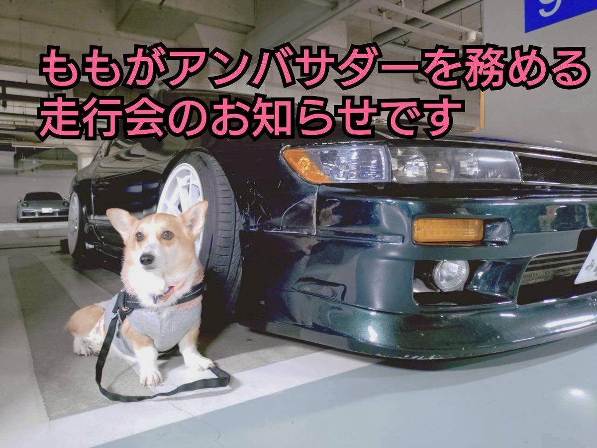 ps13dh0's tweet photo. 第21回　あいびり関東ドリカーナ
参加者募集のお知らせ

2026年6月27日(土) 
筑波サーキットジムカーナ場 
30台前後募集
参加費：1万円 

午前はバトドリ形式のトーナメント戦。 
午後は全面を使い走行。 

申込開始は5/22、21時よりDMにて。
参加お待ちしてます。 https://t.co/hEuojD0WLT