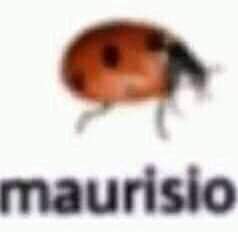 JiroDraw's tweet photo. @pkzatch Sin mencionar que si de casualidad los encuentras los precios son un robo a mano armada, todo porque si los compras online, le suman la cantidad más absurda de impuestos, con los animes pasa algo peor y es que si no es nuevo no está por ningún lado legal https://t.co/KMel9fpO14