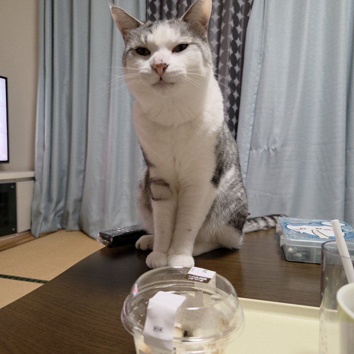 えみまろ★cat,cat,cat's!! tweet media