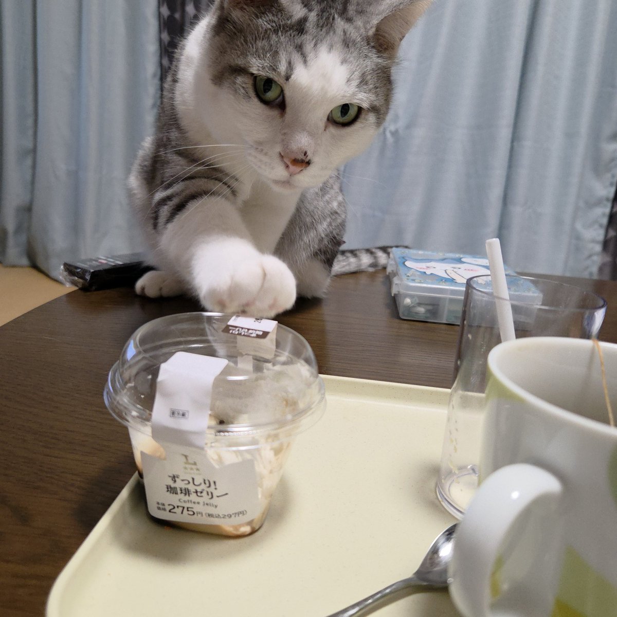 えみまろ★cat,cat,cat's!! tweet media