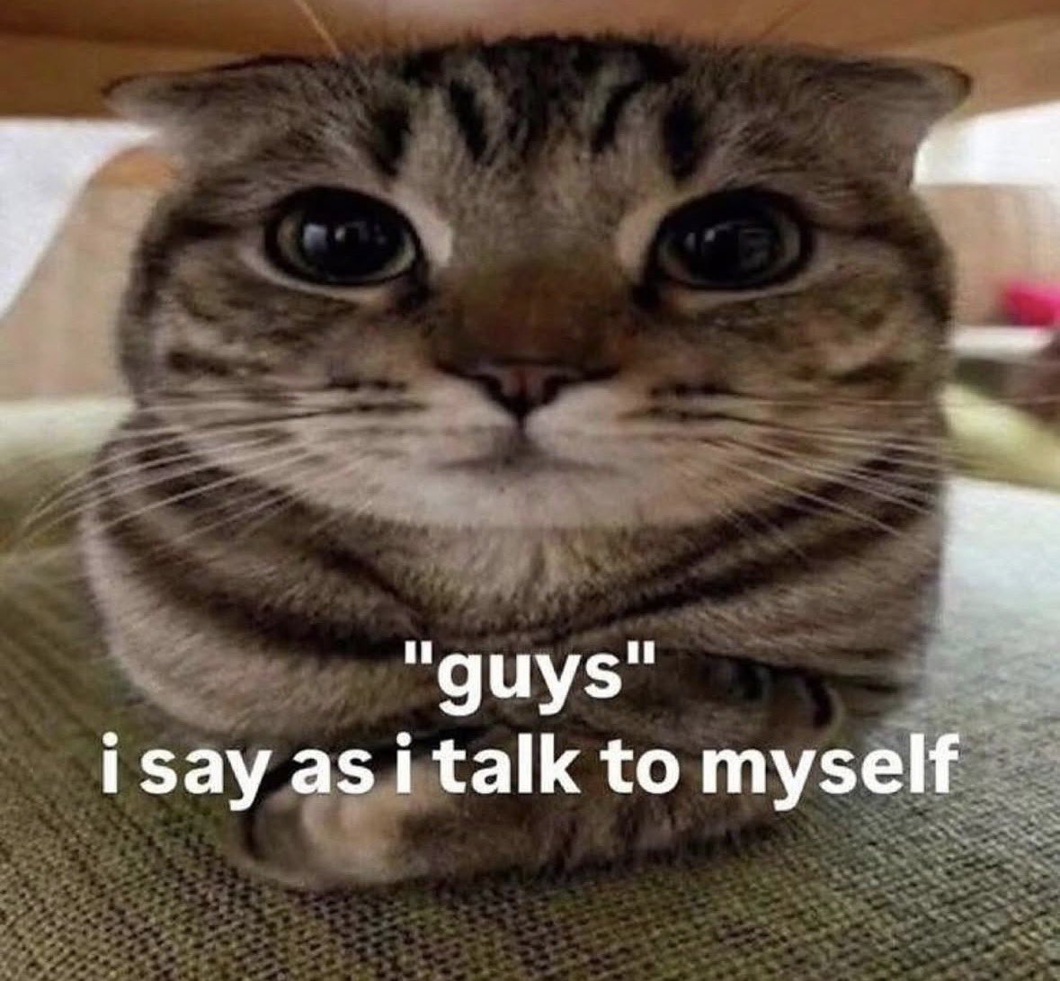 LiterallyMeCats tweet media