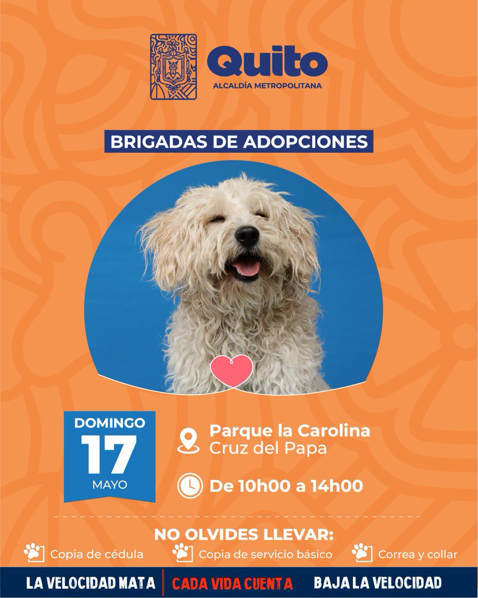 Unidad de Bienestar Animal Quito tweet media